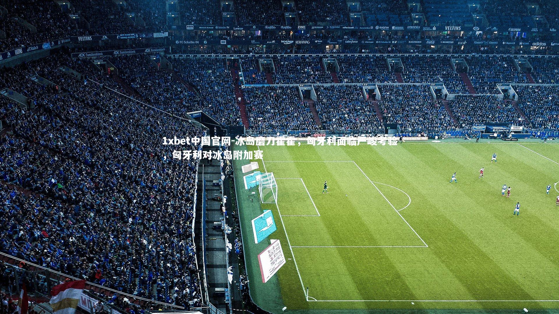 冰岛磨刀霍霍，匈牙利面临严峻考验，匈牙利对冰岛附加赛